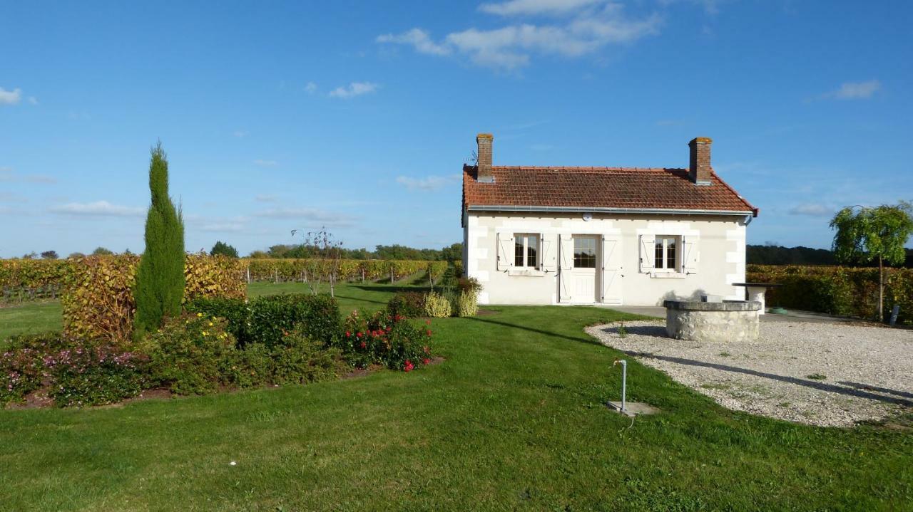 L'Ecrin Au Coeur Des Vignes Villa Saint-Georges-sur-Cher Dış mekan fotoğraf